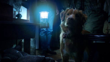 Antisipasi ‘Good Boy’, Film Horor yang Disebut Bakal Lebih Sukses dari Weapons