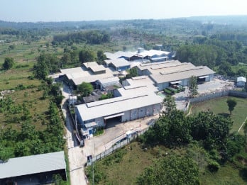 Permintaan Pupuk Meningkat, Pendapatan Nusa Palapa Gemilang (NPGF) Tumbuh 37,7%