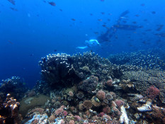 Objek Wisata Oluhuta Paradise di Gorontalo