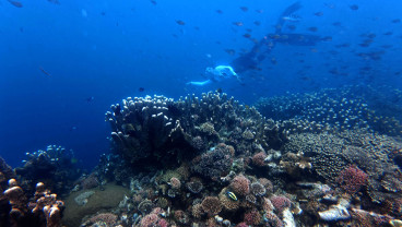 Objek Wisata Oluhuta Paradise di Gorontalo