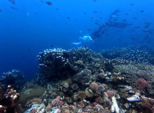 Objek Wisata Oluhuta Paradise di Gorontalo