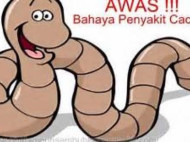 Netizen Ramai-ramai Beli dan Minum Obat Cacing, Amankah?