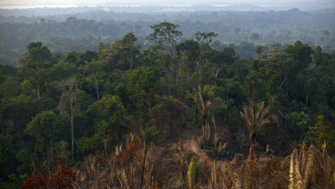 Brasil Kantongi Dukungan untuk Dana Konservasi Hutan TFFF US$125 Miliar
