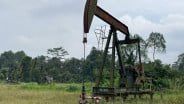 Capai 21.350, Begini Sebaran Sumur Minyak Masyarakat di Sumsel