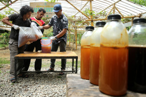 Madu Hutan Siap Dipasarkan hingga ke Malaysia dan Singapura