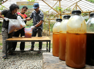 Madu Hutan Siap Dipasarkan hingga ke Malaysia dan Singapura