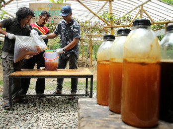 Madu Hutan Siap Dipasarkan hingga ke Malaysia dan Singapura
