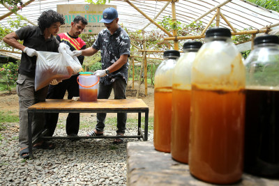 Madu Hutan Siap Dipasarkan hingga ke Malaysia dan Singapura