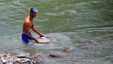 Berburu Emas Tradisional di Sungai Batang Ombilin