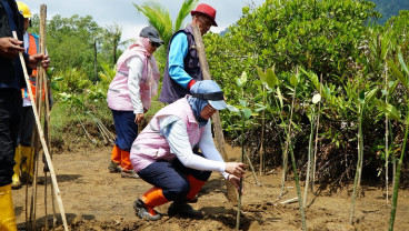 Dorong Net Zero Emission, PLN Lakukan Penanaman Mangrove di Pancer Cengkrong