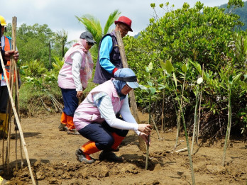 Dorong Net Zero Emission, PLN Lakukan Penanaman Mangrove di Pancer Cengkrong