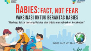 Dinas PKH Riau Gelar Vaksinasi Rabies Gratis Sampai Akhir September 2025