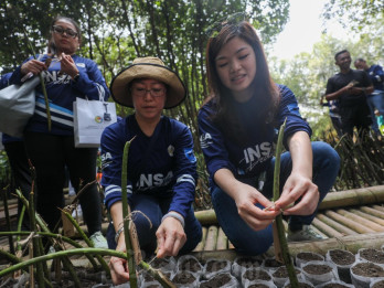 INSA Tanam Ratusan Bibit Mangrove di Jakarta