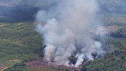 5 Hektare Lahan di Muba Terbakar, Terjadi di Dua Kecamatan