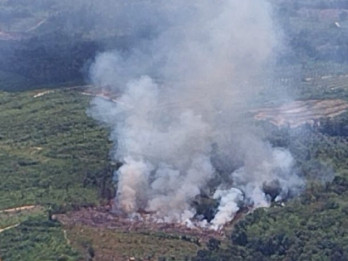 5 Hektare Lahan di Muba Terbakar, Terjadi di Dua Kecamatan