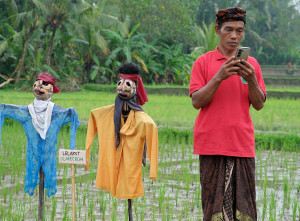 Aplikasi Pertanian Berbasis Digital
