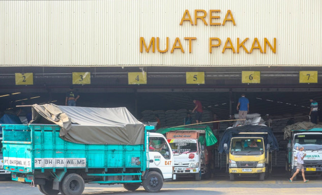 Tekanan Jangka Pendek Tak Goyahkan Prospek Emiten Unggas CPIN & JPFA