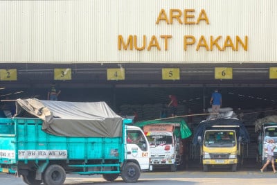 Tekanan Jangka Pendek Tak Goyahkan Prospek Emiten Unggas CPIN & JPFA
