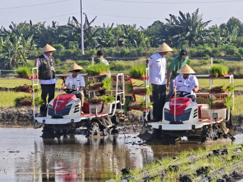 Sinergi Lintas Sektor Dorong Pemulihan Padi Pasca Banjir Demak