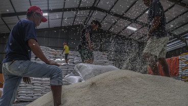 Ketersediaan Beras Nasional 2025 Melimpah, Capai 36,98 Juta Ton