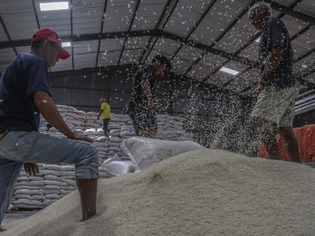 Ketersediaan Beras Nasional 2025 Melimpah, Capai 36,98 Juta Ton