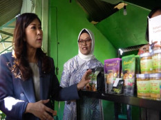 Potensi Ekonomi dan Peluang Bisnis Koperasi Desa