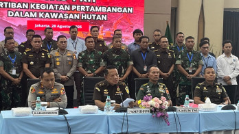 Satgas PKH Ambil Alih 4,2 Ha Tambang Ilegal, Bakal Dititipkan ke MIND ID