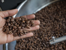 Sinyal Titik Nadir Lanjutan Harga Kopi