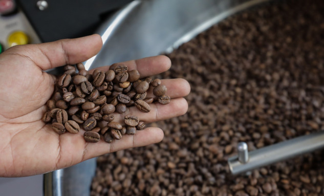 Sinyal Titik Nadir Lanjutan Harga Kopi