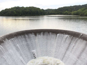 Dua Waduk di Batam Terancam Sedimentasi, BP Batam Lakukan Pengerukan Tahun Depan