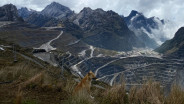 Freeport Weighs New Export Permit After Repeated Smelter Troubles