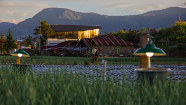 Sentra Bawang Merah di  Sumbar Mulai Terapkan Agriculture Electrifying