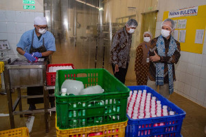 OJK Dorong Digitalisasi Ekosistem Bisnis Koperasi Peternakan