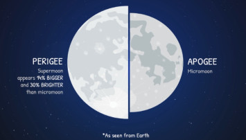 Saksikan Supermoon Malam Ini, Bulan 30% Lebih Terang dan 14 Kali Lebih Besar dari Biasanya