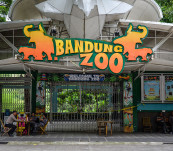 Aksi Selamatkan Kebun Binatang Bandung