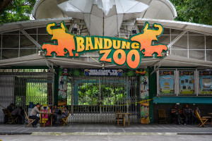 Aksi Selamatkan Kebun Binatang Bandung