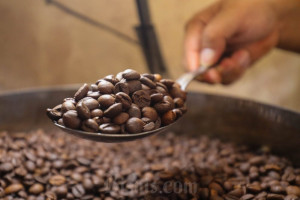 Ekspor Kopi Indonesia Tembus 206,7 Ribu Ton pada Semester I/2025