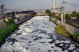 Busa Putih Menyelimuti Sungai di Surabaya