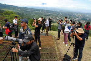 Pengamatan Migrasi Burung Pemangsa di Puncak Bogor