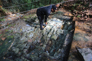 Penemuan 5.000 Ton Batu Giok di Nagan Raya