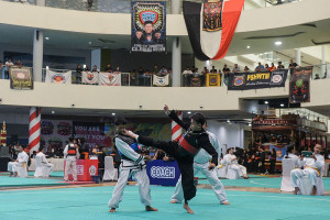 Banten Pencak Silat Competition 2025