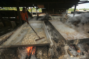 Produksi Garam Aceh 2025 Belum Penuhi Kebutuhan Daerah