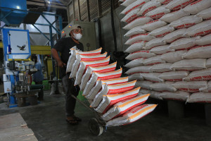 Proyeksi Produksi Beras Meningkat