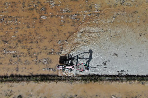 Hilirisasi Pertanian Diperkuat Lewat Investasi Rp371 Triliun