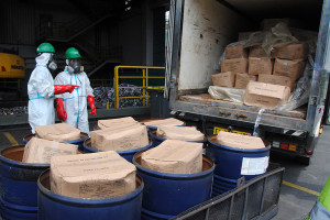 Pemusnahan Udang Terkontaminasi Radioaktif