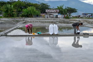 Garam Talise Palu Diusulkan Jadi Indikasi Geografis untuk Perkuat Daya Saing