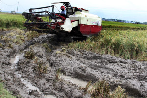 Modernisasi Pertanian di Ngawi, Combine Harvester Dukung Efisiensi Panen