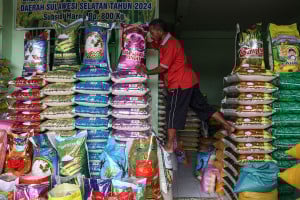 Bapanas Pastikan Harga Beras Stabil Jelang Natal dan Tahun Baru