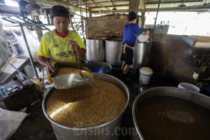 Akindo Proyeksikan Pasokan Kedelai Nasional Dalam Kondisi Aman