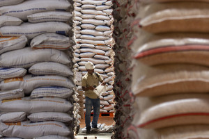 Stok Beras Bulog Batam Capai 3.193 Ton, Aman hingga 5 Bulan ke Depan